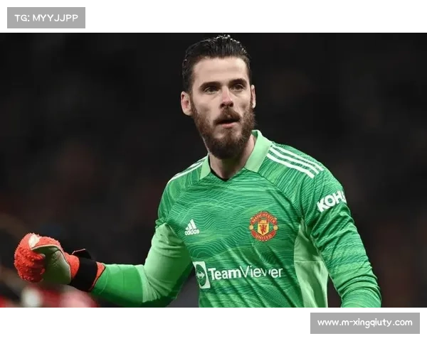 热那亚防线轮换深度不足，门将位置稳定性存疑